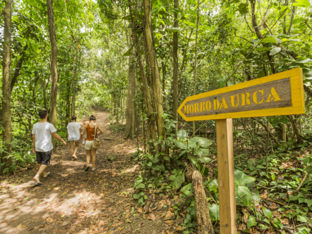 floresta, fazer trilha