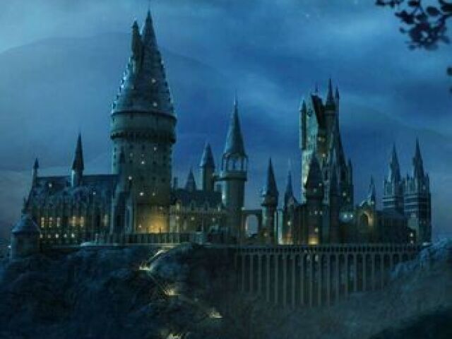 Qual seria o seu namorado em Hogwarts?