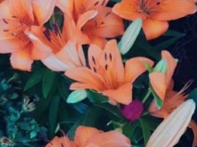 Lírio! 🌺✨