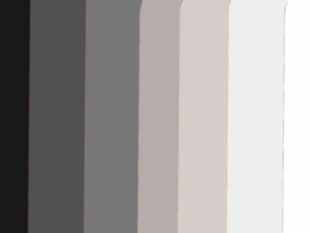 Paleta Neutra🌙