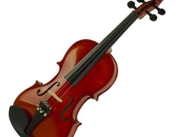 Violino