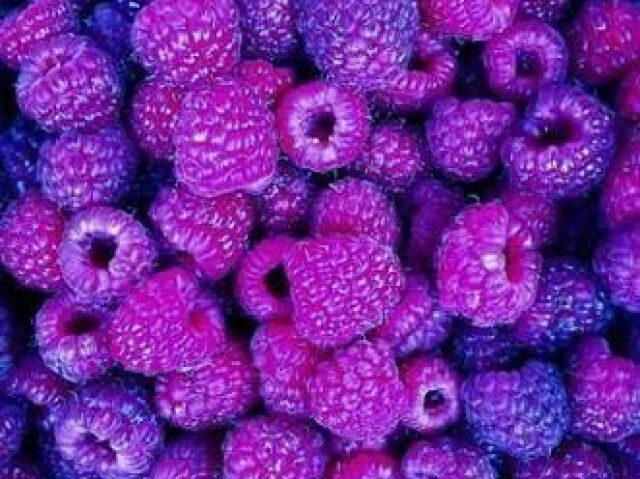 purple