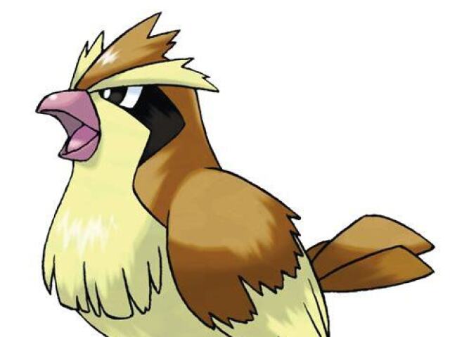 Pidgey