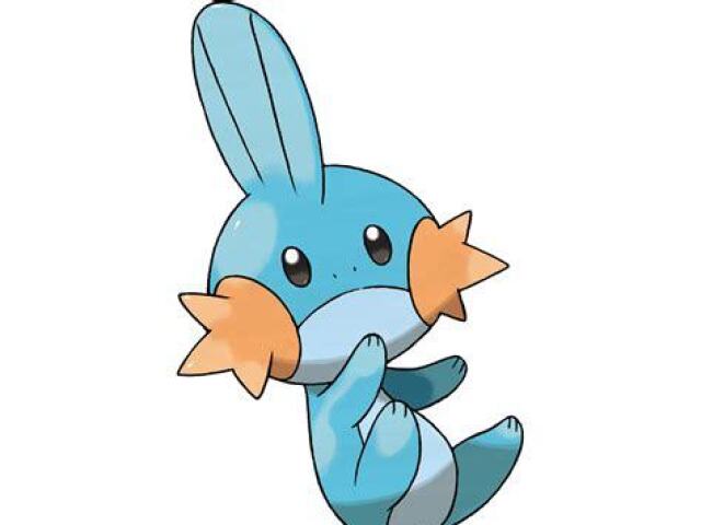 Mudkip