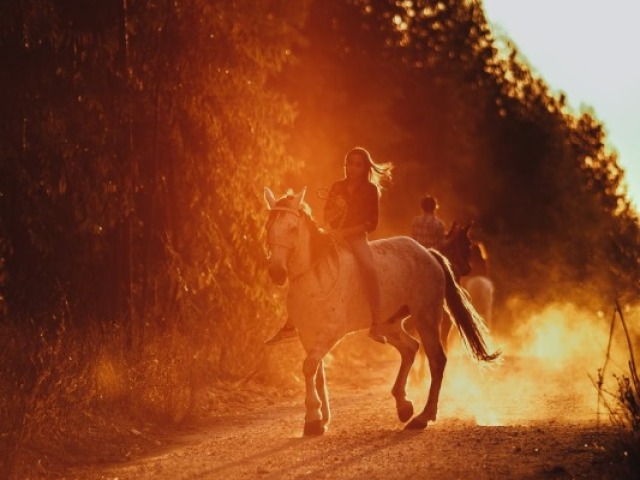 Explorar a Itália a cavalo