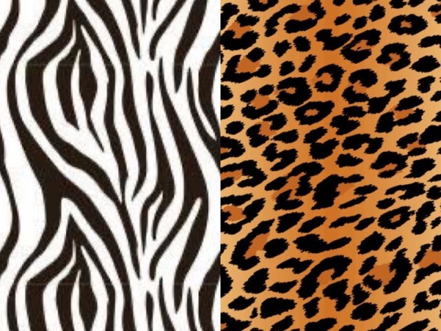 Animal print é a minha cara. Outras estampas gráficas, com detalhes que chamem atenção, também me interessam