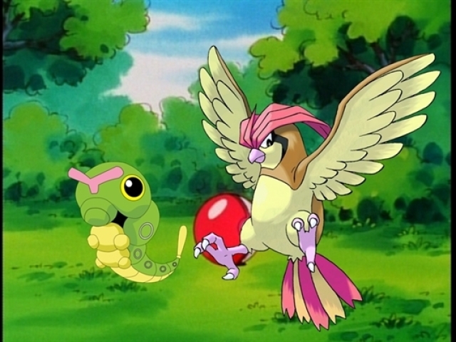 CATERPIE E PIDGEOTTO