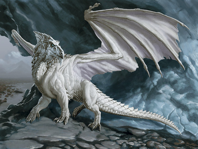 Dragão Branco