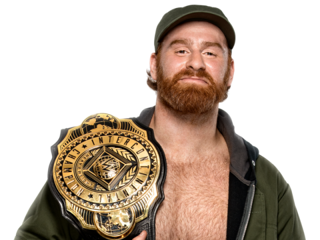 Sami zayn