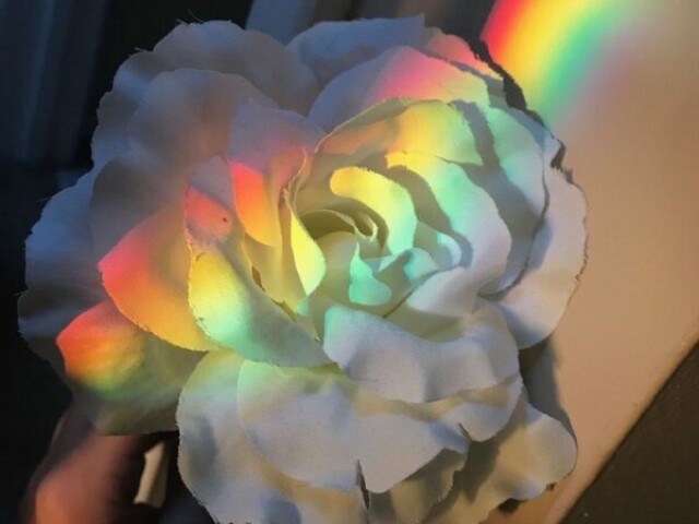 🏳🌈