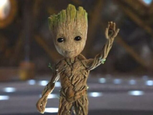 Groot