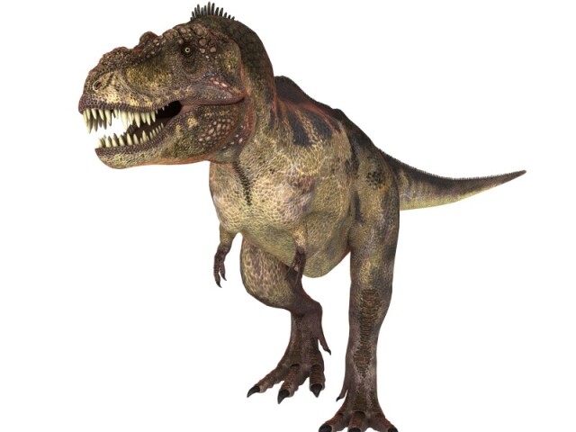 Tiranossauro Rex.