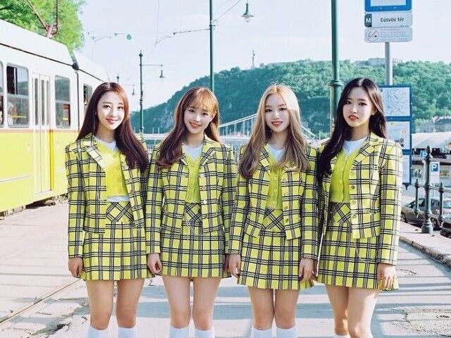 Yyxy