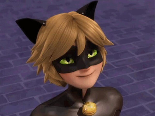 Adrien/Chat Noir