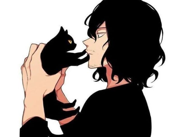 Shota Aizawa (Eraser head)