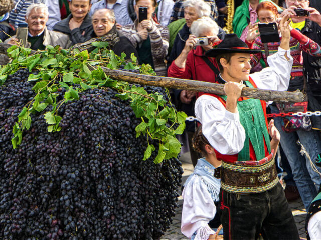 Fiesta de la Vendimia