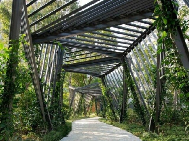 Ir caminhar em algum parque