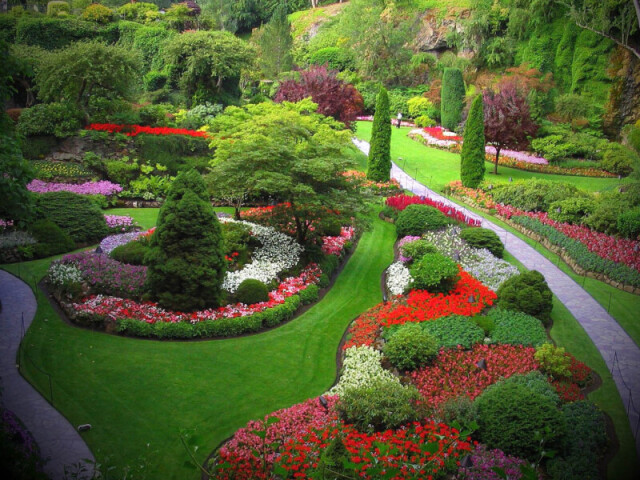 Jardim