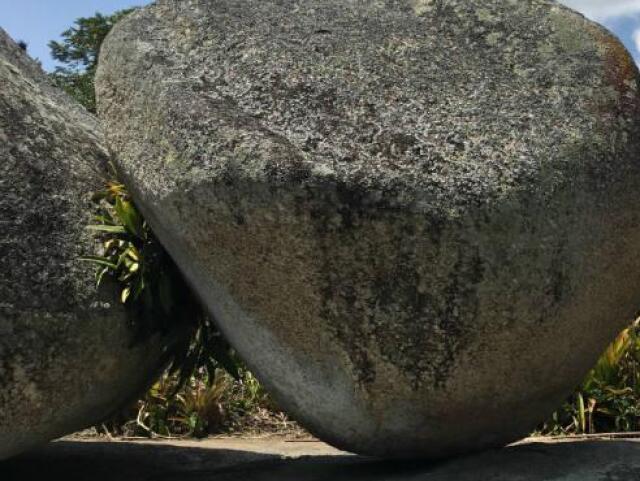 pedra