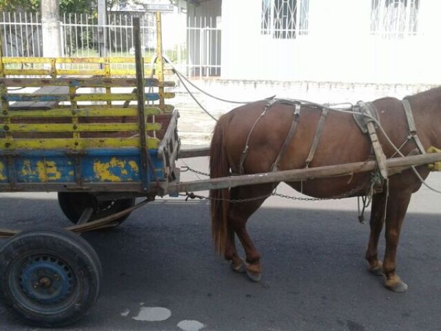 CARROÇA