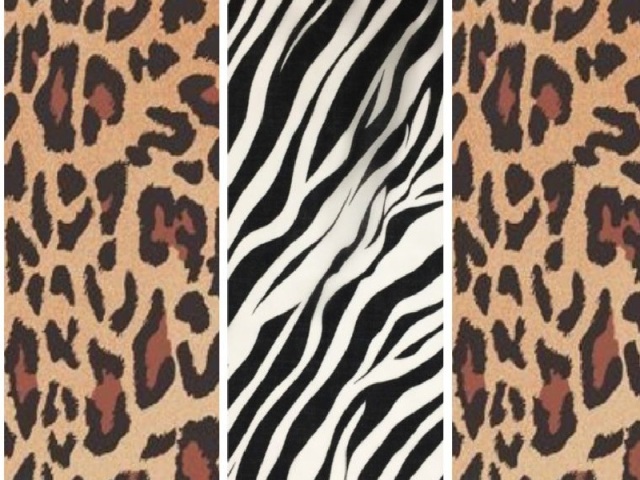 d) Animal print é a minha cara. Outras estampas com detalhes que chamem atenção, também me interessam.