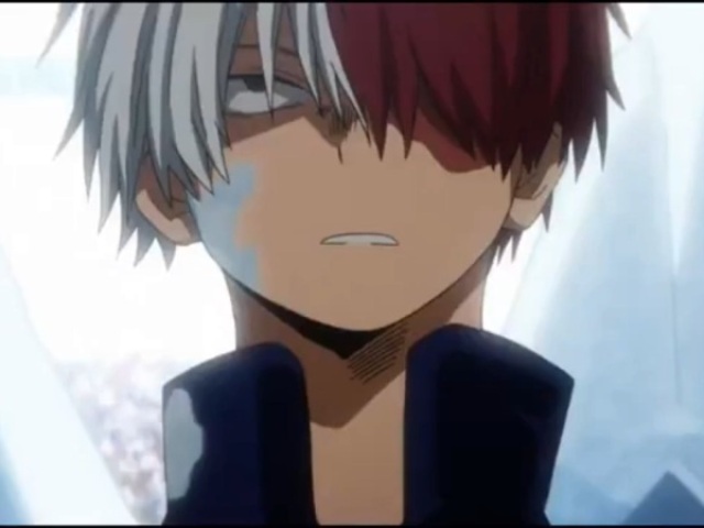 Shoto Todoroki