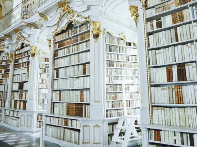 ☆Biblioteca☆