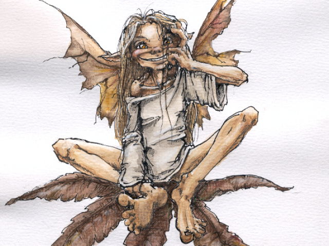 Fairy grunge