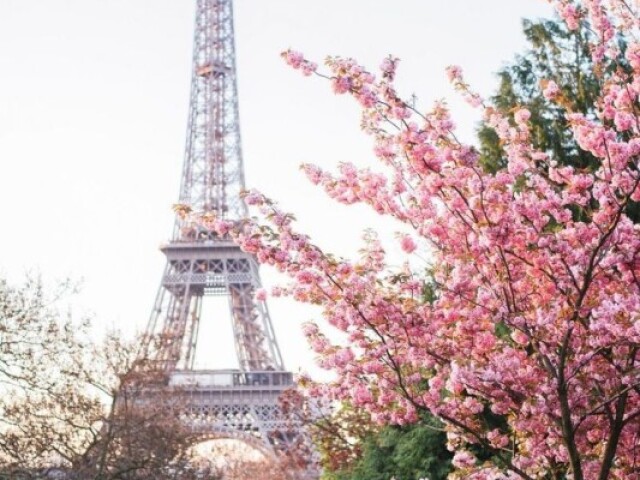 Paris 🌸🌿