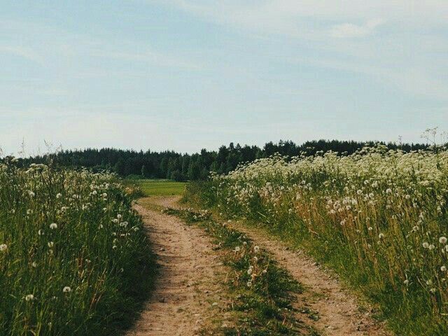 Escolha uma imagem asthetic🌼