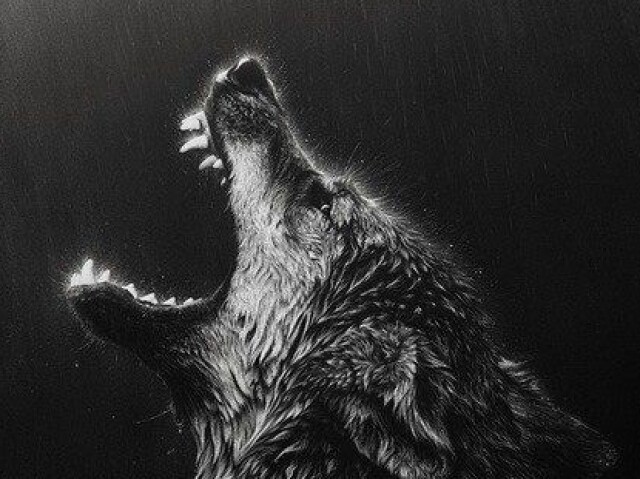 Qual tipo de lobo você é?