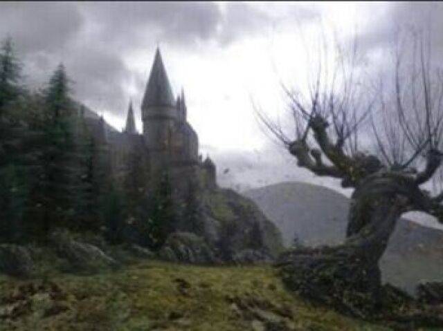 Quintal de Hogwarts