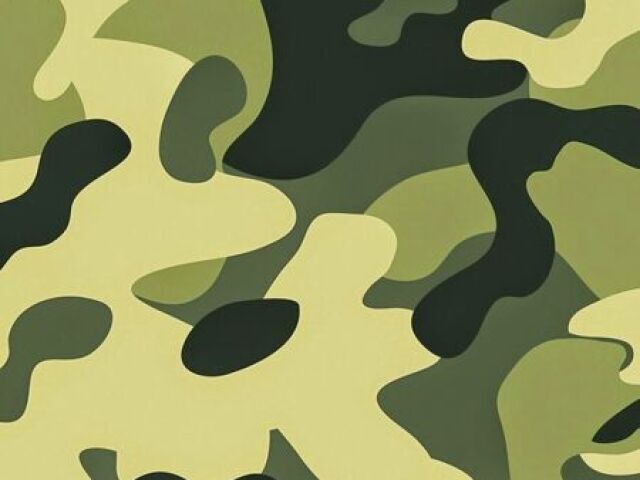 Camuflado