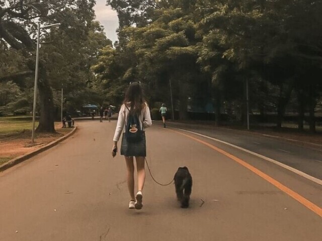 Passear com seu pet