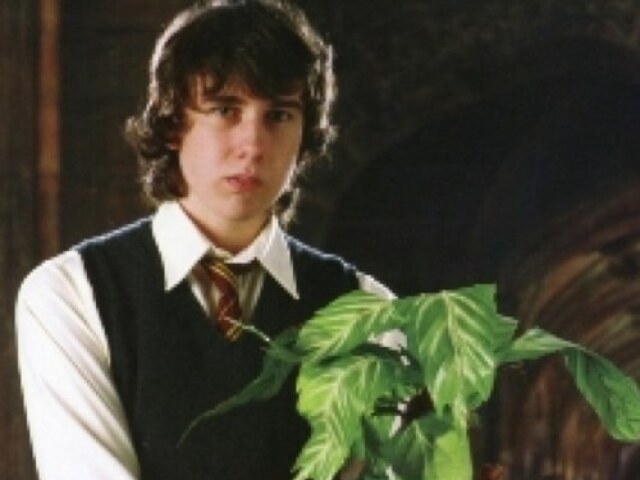 Neville