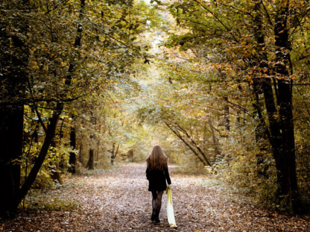 passear pelos bosques