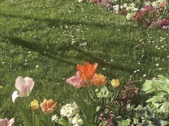 Qual o seu aesthetic?