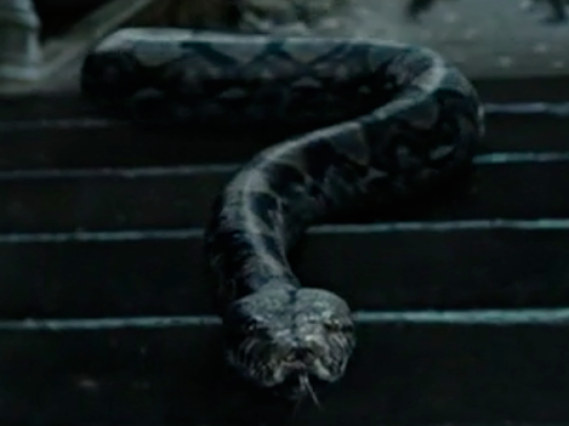 Nagini