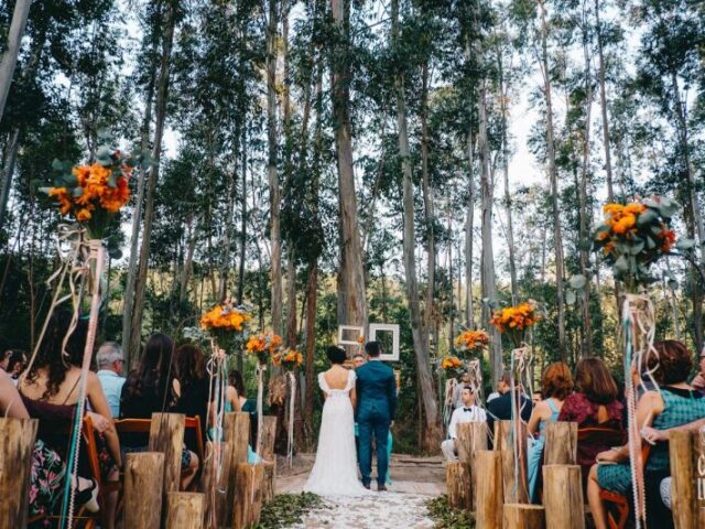 Na floresta