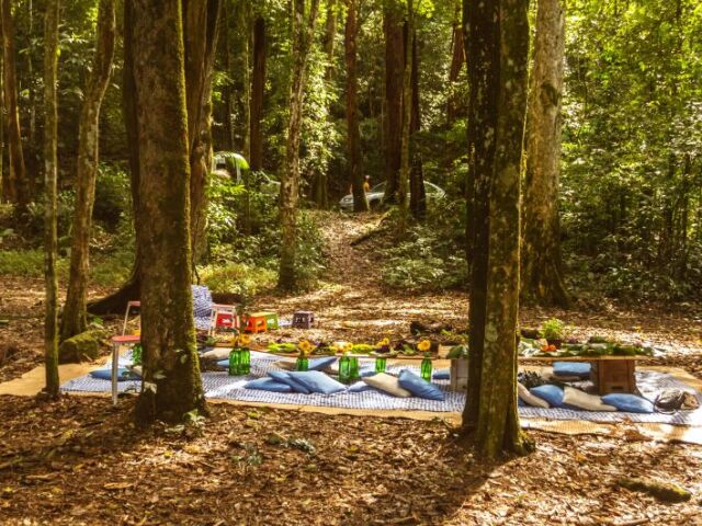 na floresta, com muitas árvores, animais e seres místicos