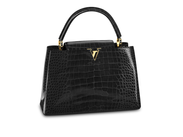 Louis Vuitton Capucines