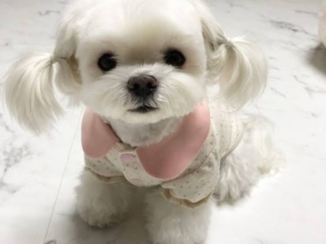 Belinha๐๐ง
