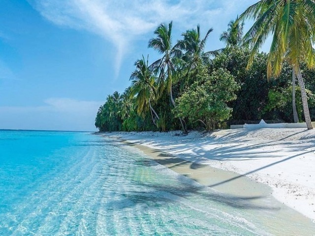 Uma praia seria um lugar incrível para passear.