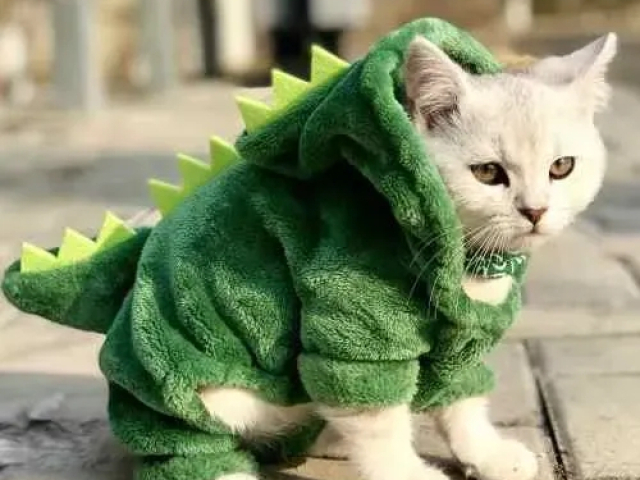 cat dino