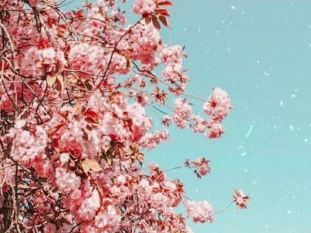 🌷