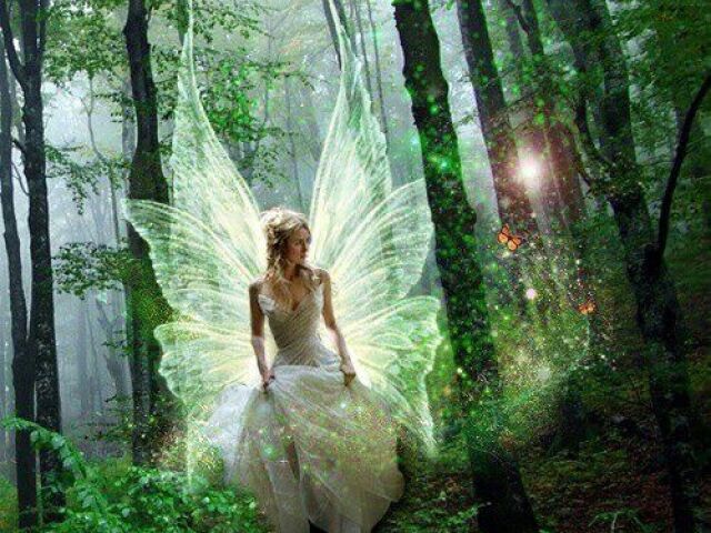 *•.¸¸🍃*・゚𝓕𝓪𝓭𝓪 𝓭𝓪 𝓕𝓵𝓸𝓻𝓮𝓼𝓽𝓪•*.¸¸🍃*・゚