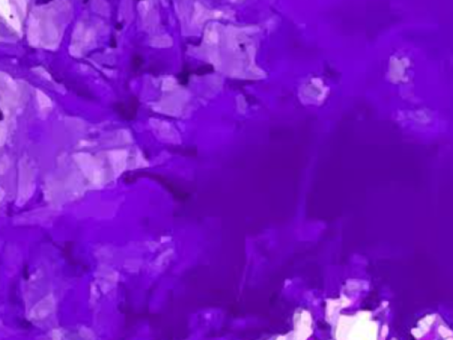 Roxo