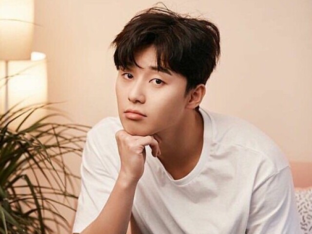 Park Seo Joon