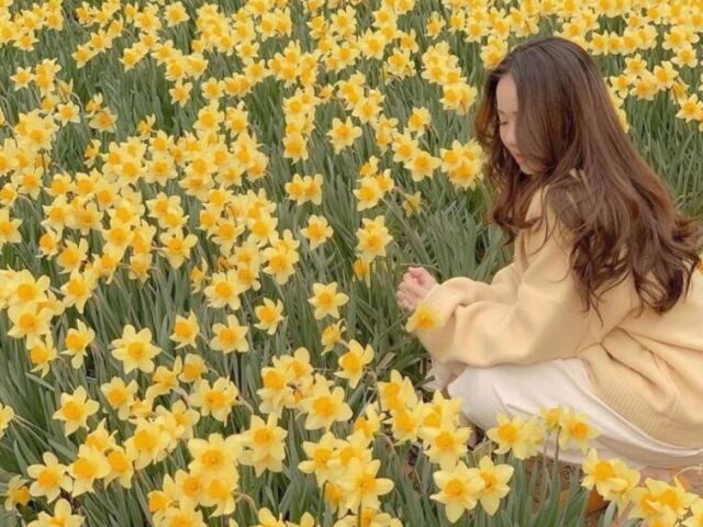 Cottagecore 🌹🍀