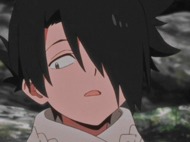 Ray レイ